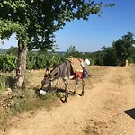 호텔 Un Chemin En Quercy *