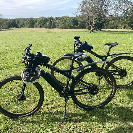 Un Chemin En Quercy *