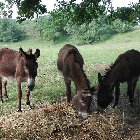Hotel Un Chemin En Quercy Mauroux (Lot)