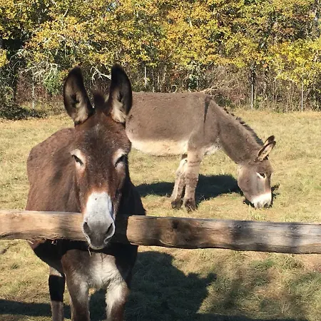 Hotel Un Chemin En Quercy Mauroux (Lot)