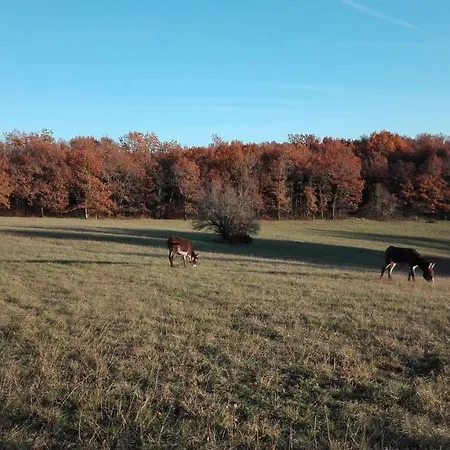 Un Chemin En Quercy * Mauroux (Lot)
