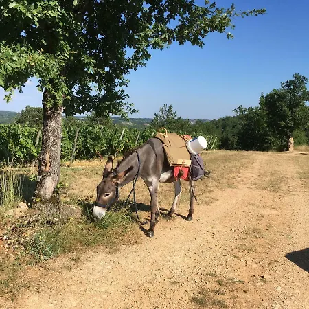 Luxury tent Un Chemin En Quercy *