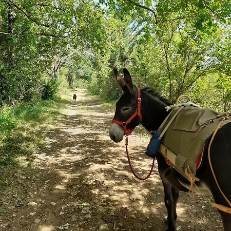 Luxury tent Un Chemin En Quercy *