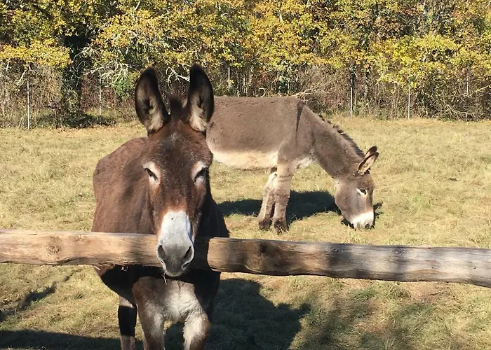فندق Un Chemin En Quercy Mauroux (Lot)