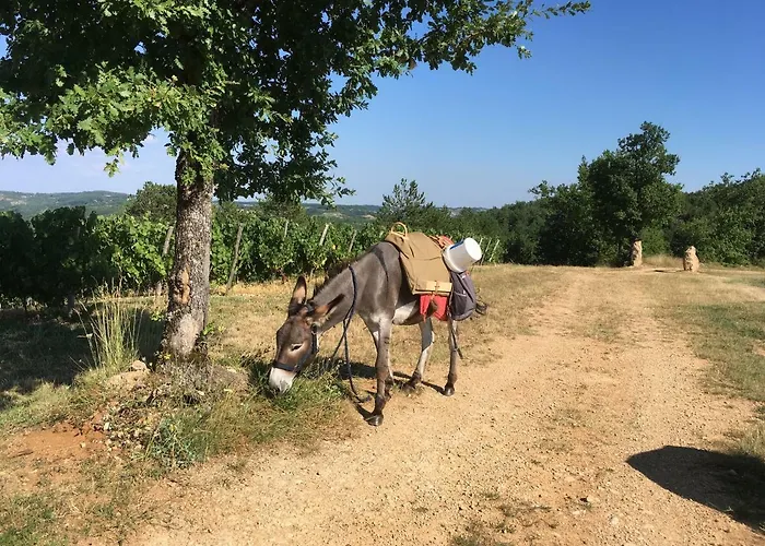 فندق Un Chemin En Quercy *